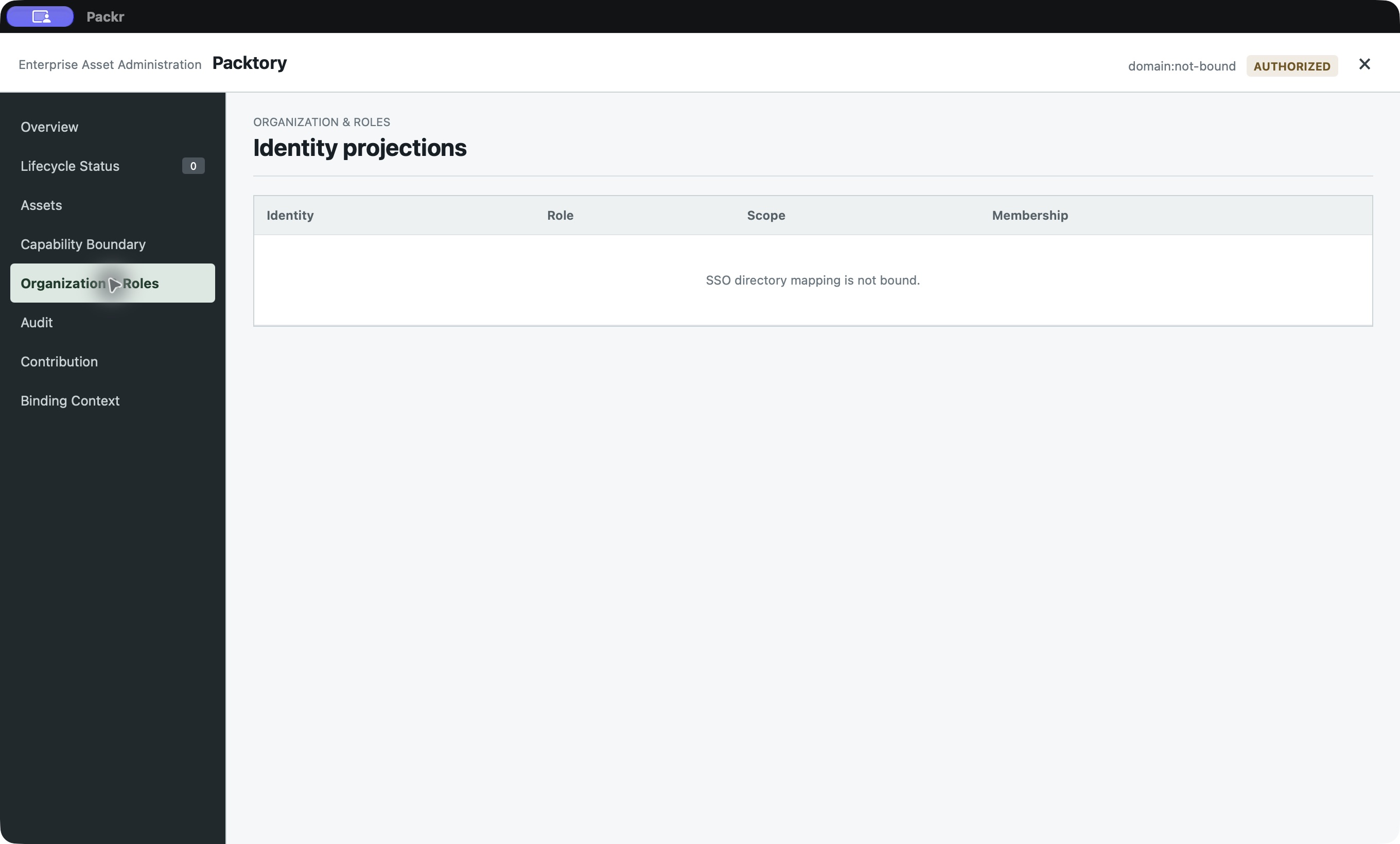 Organization & Roles reports SSO directory mapping is not bound. AUTHORIZED does not populate the identity directory.
